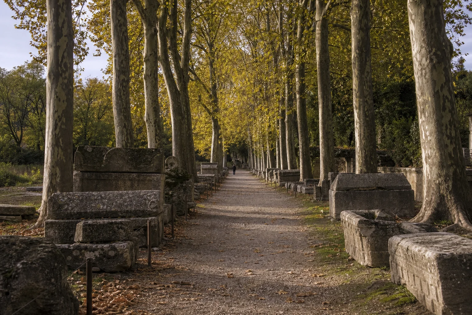 Les Alyscamps zeigt, wie stark Van Gogh eine historische Landschaft durch Rhythmus und Farbe verwandeln konnte.